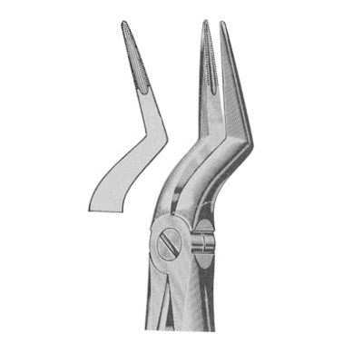 Extracting Forceps English Pattern