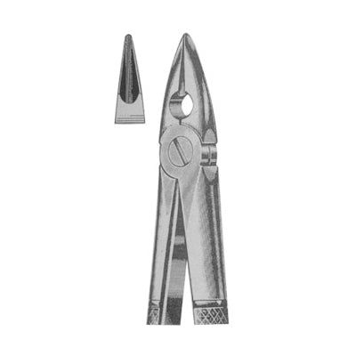 Extracting Forceps English Pattern