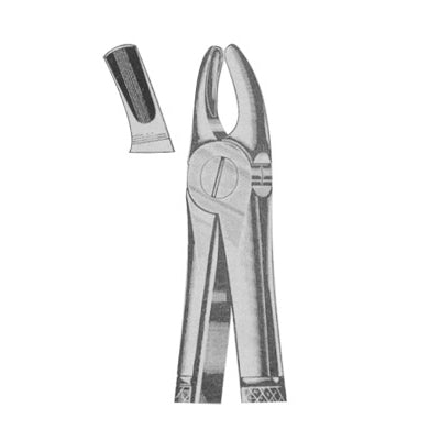 Extracting Forceps English Pattern