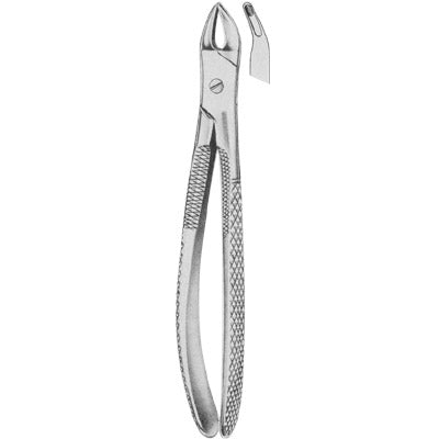 Extracting Forceps Children,s Pattern