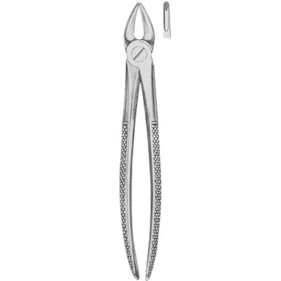 Extracting Forceps Children,s Pattern