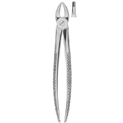 Extracting Forceps English Pattern