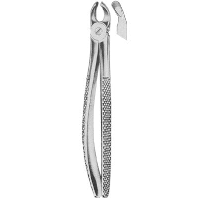 Extracting Forceps English Pattern