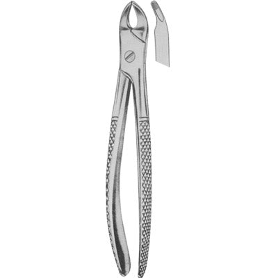 Extracting Forceps English Pattern