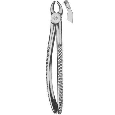 Extracting Forceps English Pattern