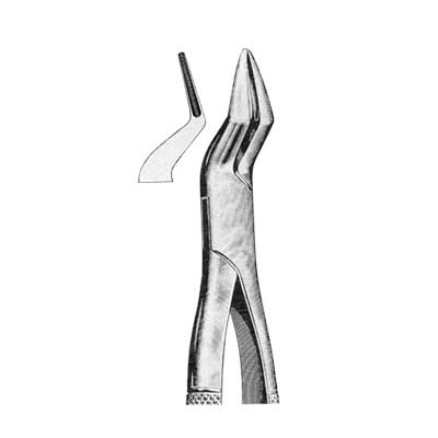 Tooth Extracting Forceps American Pattern