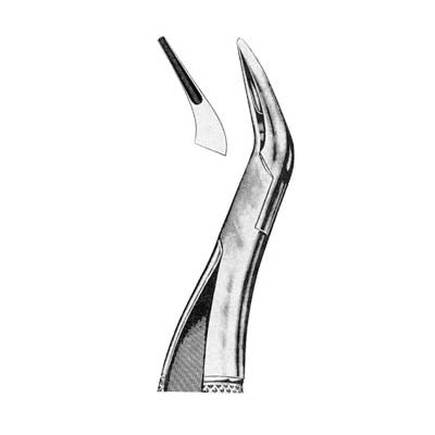 Tooth Extracting Forceps American Pattern