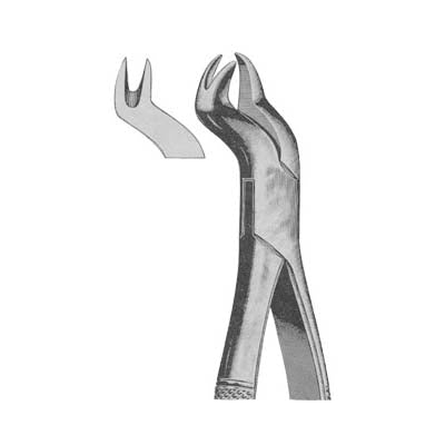 Tooth Extracting Forceps American Pattern