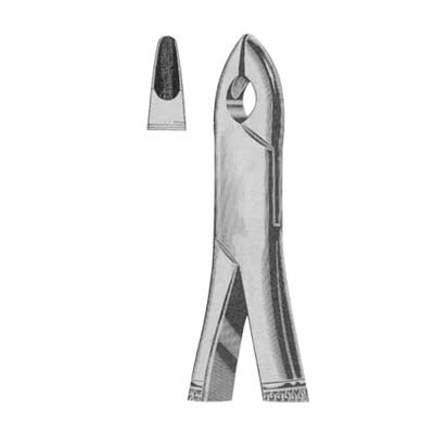 Tooth Extracting Forceps American Pattern