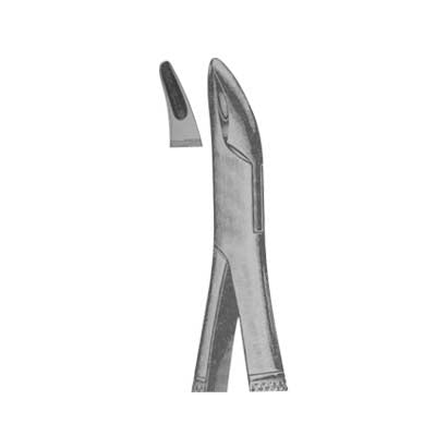 Tooth Extracting Forceps American Pattern