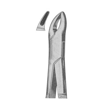 Tooth Extracting Forceps American Pattern