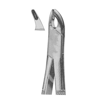 Tooth Extracting Forceps American Pattern