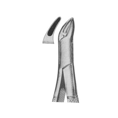 Tooth Extracting Forceps American Pattern