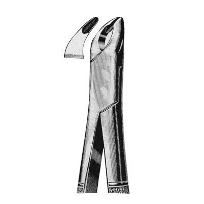 Tooth Extracting Forceps American Pattern