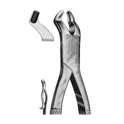 Tooth Extracting Forceps American Pattern