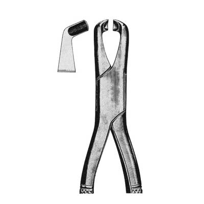 Tooth Extracting Forceps American Pattern