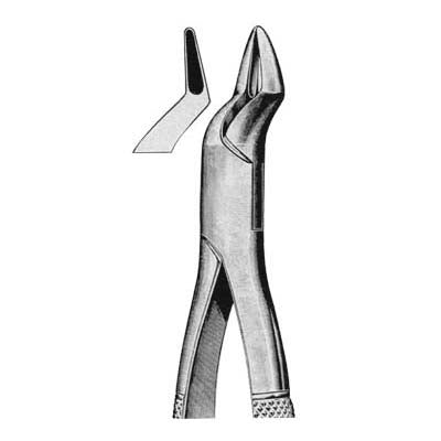 Tooth Extracting Forceps American Pattern