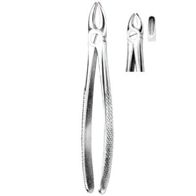 Tooth Forceps for dogd and other small animals