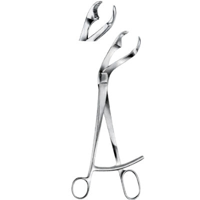 VERBRUGGE Bone Holding Forceps