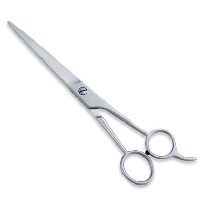 ECONOMY HAIR SCISSOR