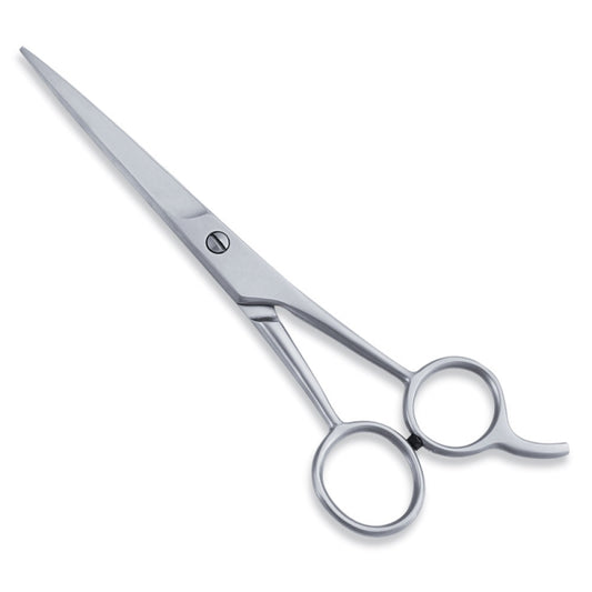 ECONOMY HAIR SCISSOR