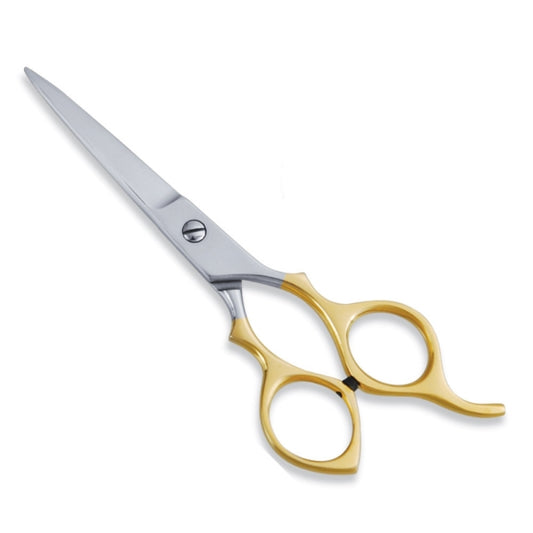 ECONOMY HAIR SCISSOR