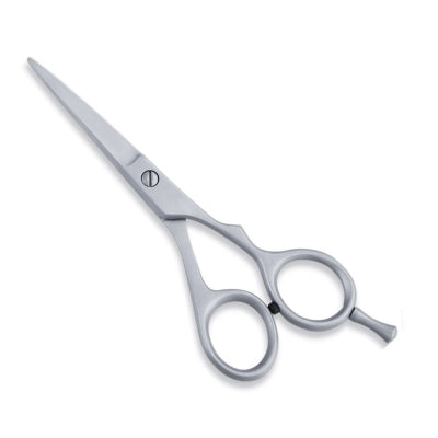 ECONOMY HAIR SCISSOR