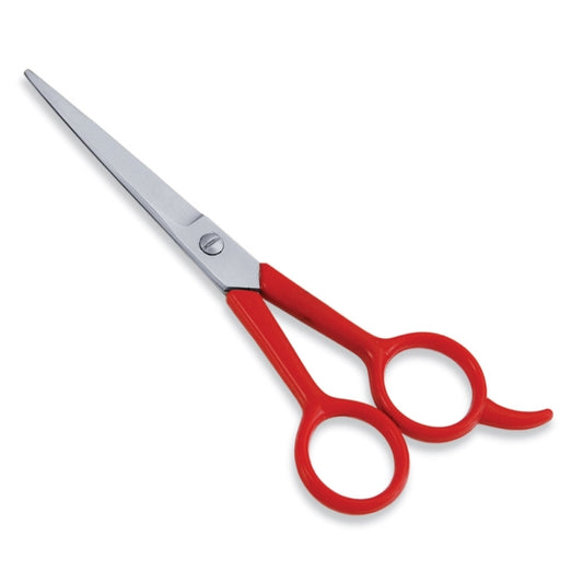 ECONOMY HAIR SCISSOR